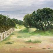 Dune du casino, 2024